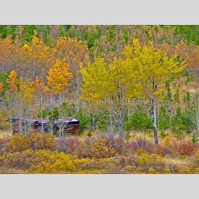 Caribou Trappers Cabin